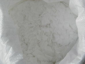 蓋州片堿出廠價格波動原因及其對生物飼料研發(fā)的影響